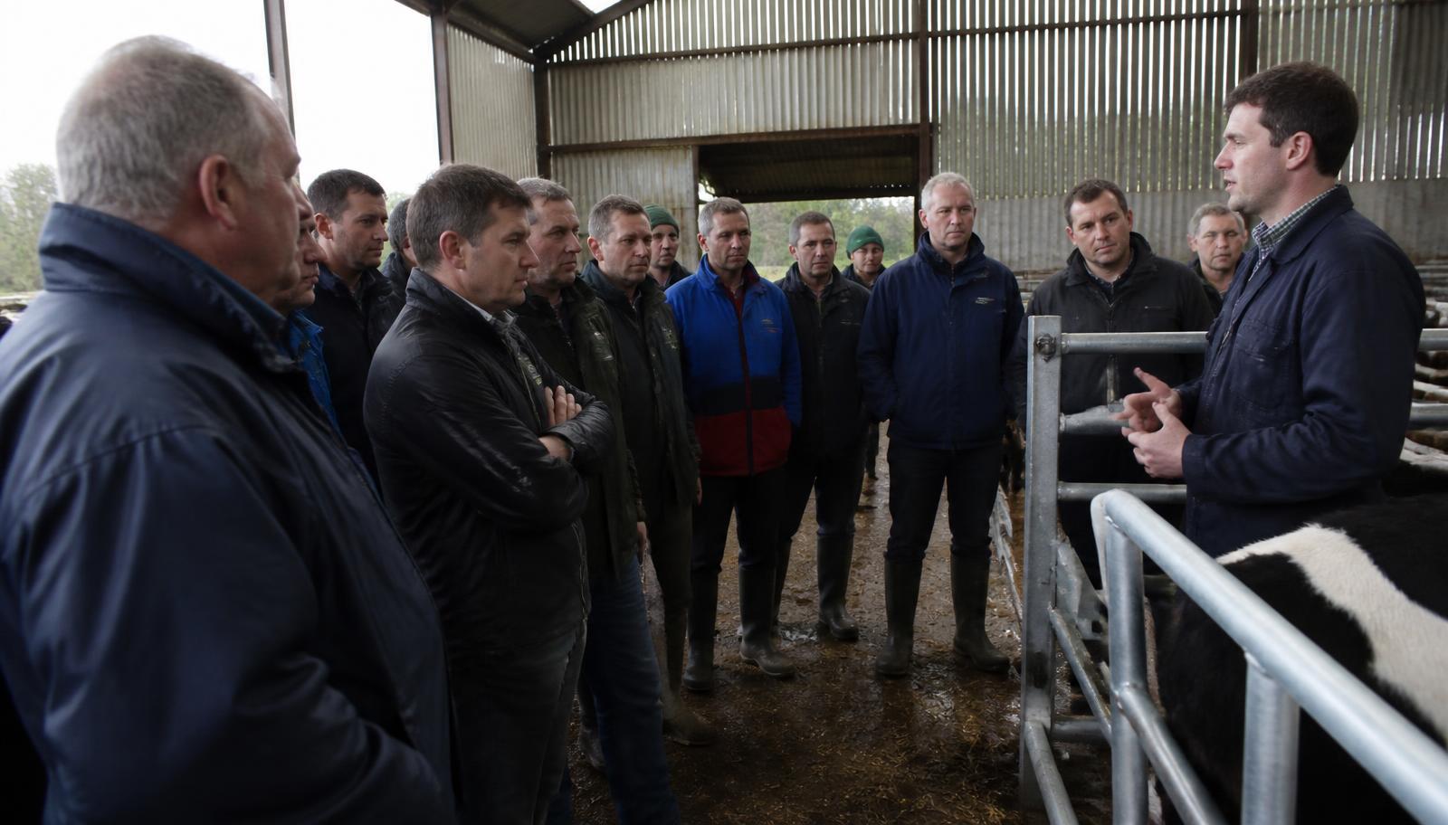 A vet giving a practical training talk to a group of farmers